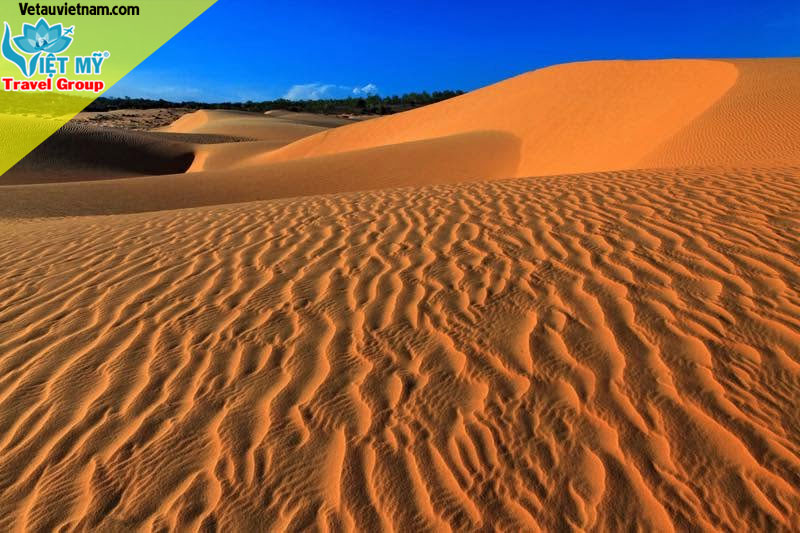 Đường sắt tăng tàu đi Nha Trang và Phan Thiết phục vụ du lịch hè 2026